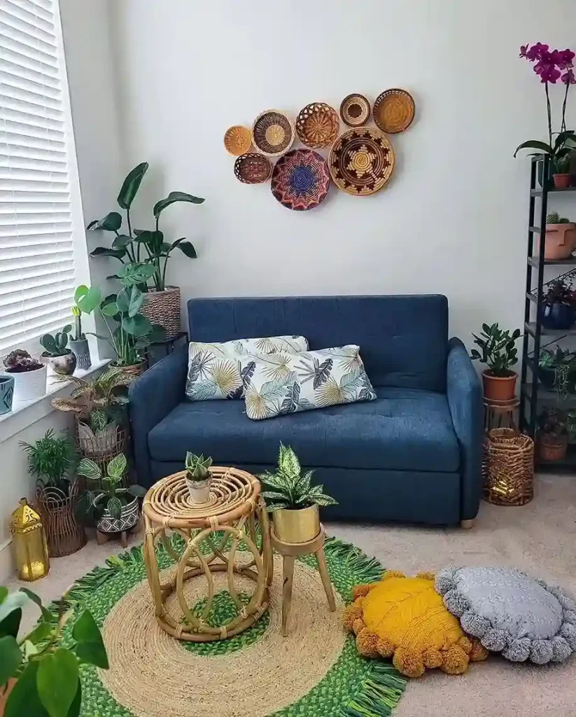00 display plants indoors