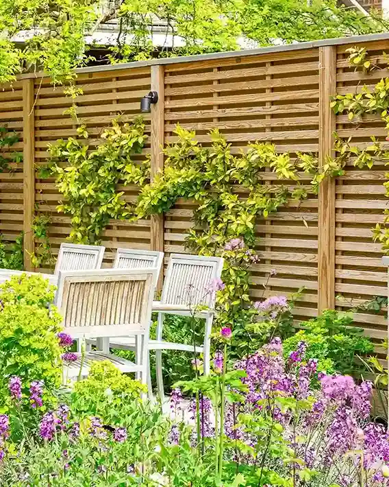 00 ideas privacy fence