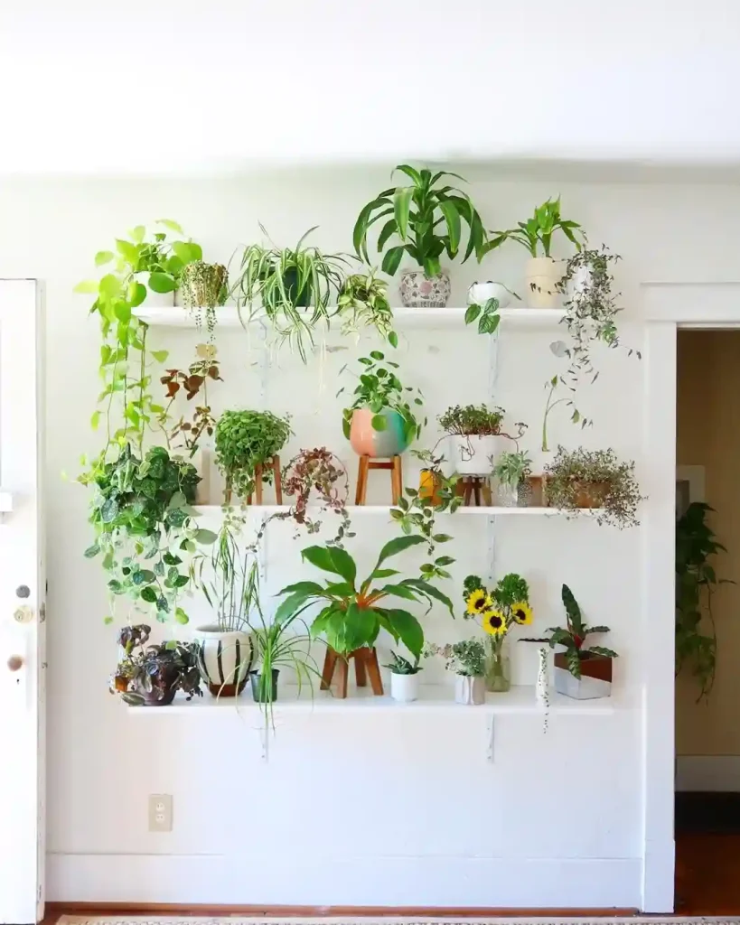 02 Indoor plants ideas