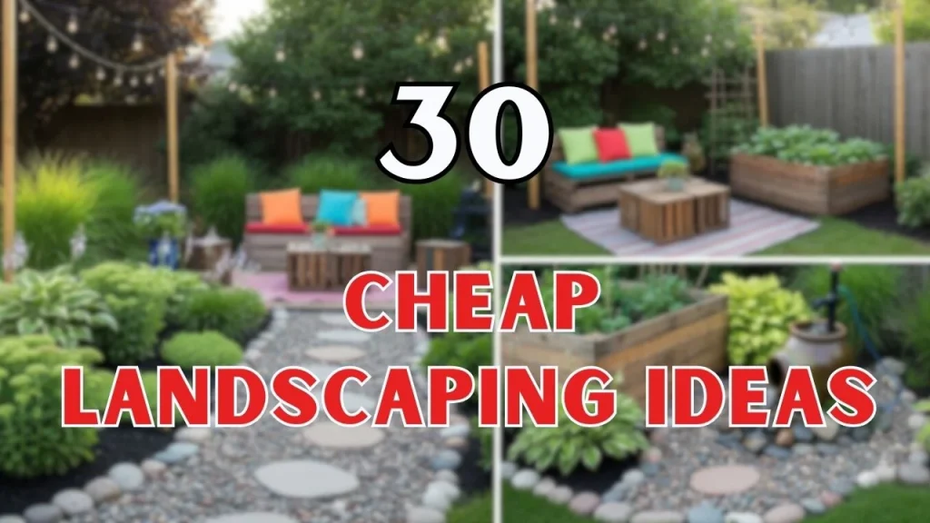 Cheap Landscaping Ideas
