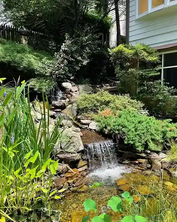 00 Steep Hill Landscaping