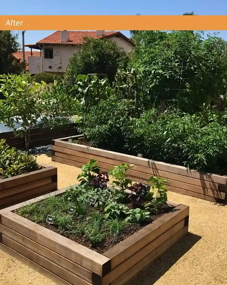 00 food forest garden