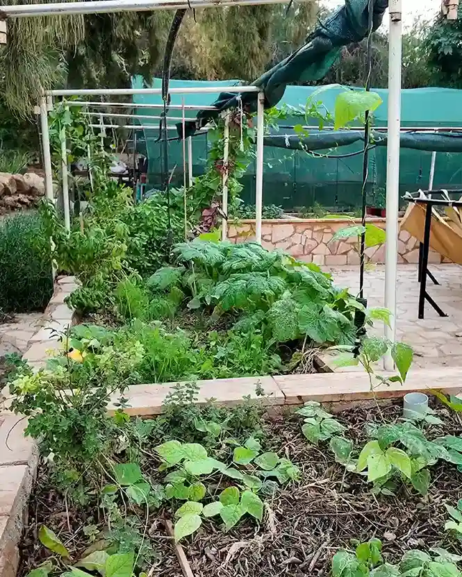 01 Food Forest Layers