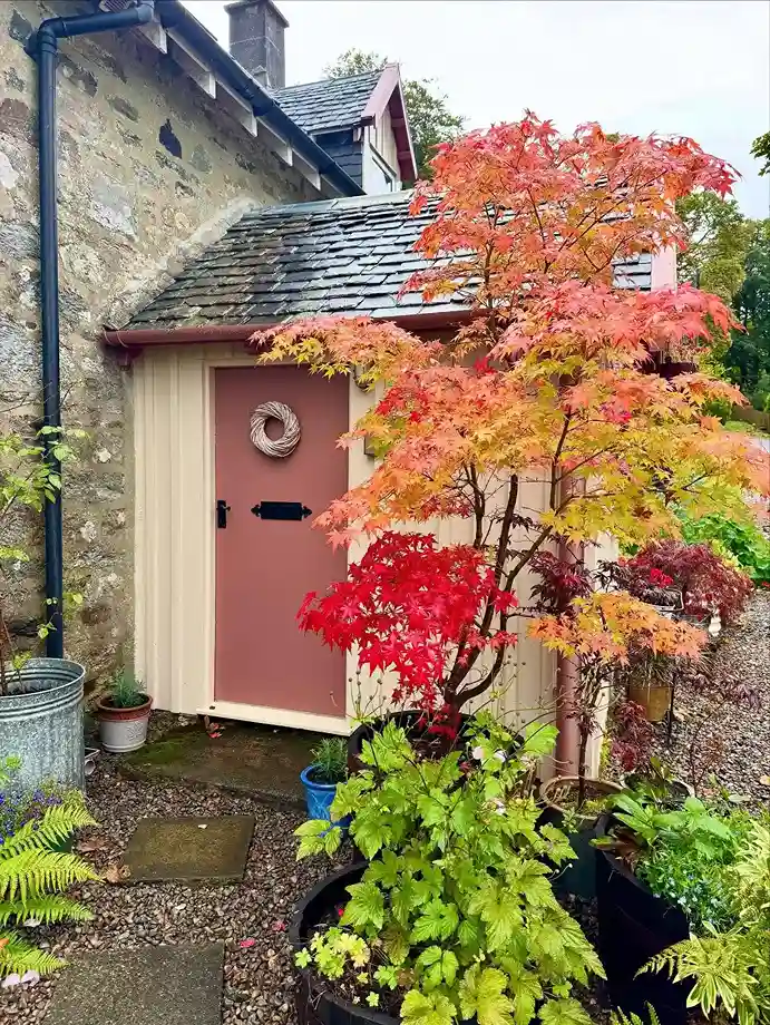 2 Potting Mix Essentials