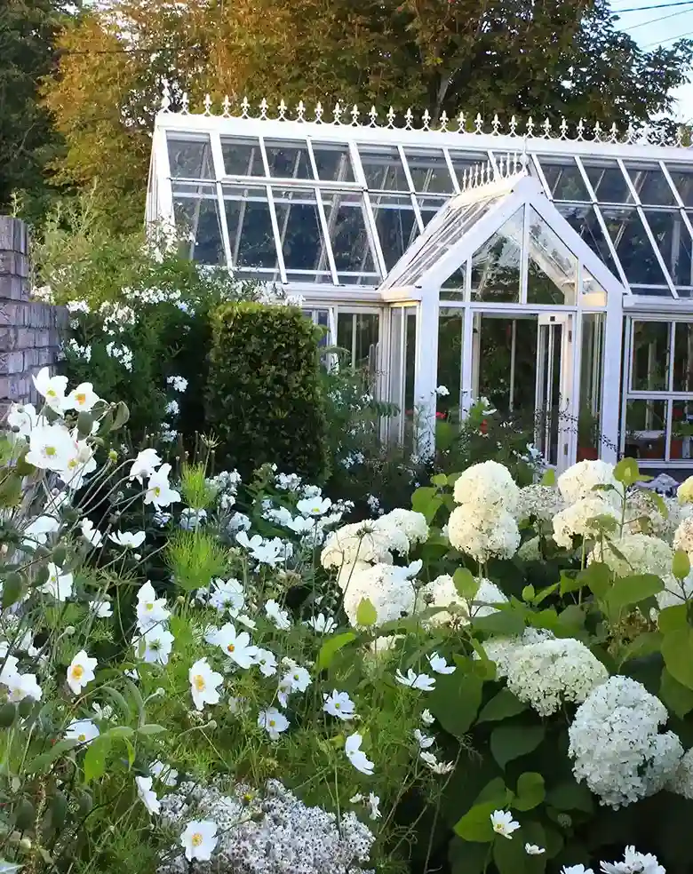 4 Hydrangea Feature Bed