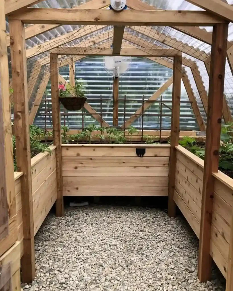 5 Greenhouse Interior with Raised Growing Beds 7 11zon