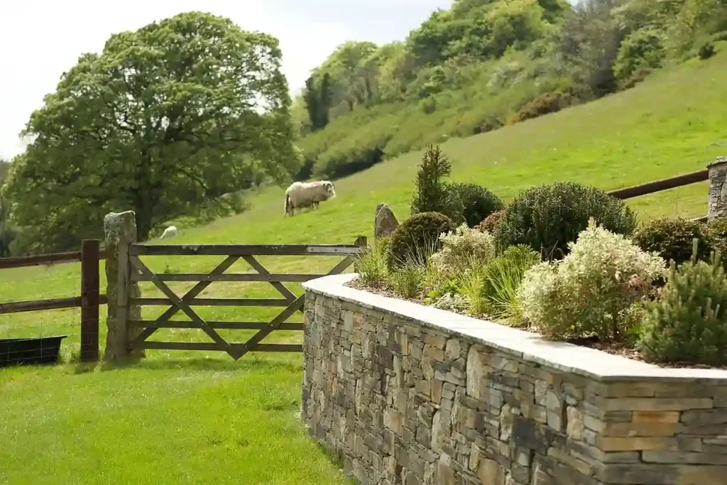 6 Deep Rooted Plants for Erosion Control