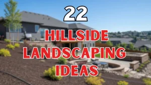 Hillside landscaping