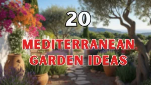 Mediterranean Garden