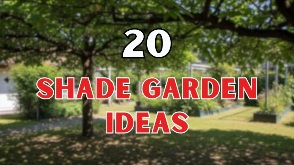 Shade Garden