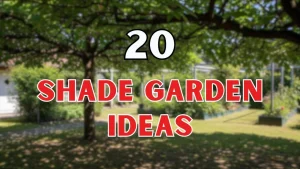 Shade Garden