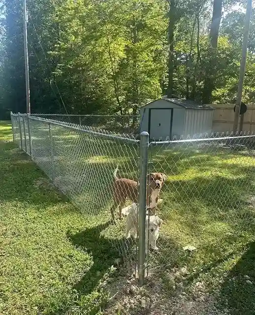00 Chain Link Fence Ideas
