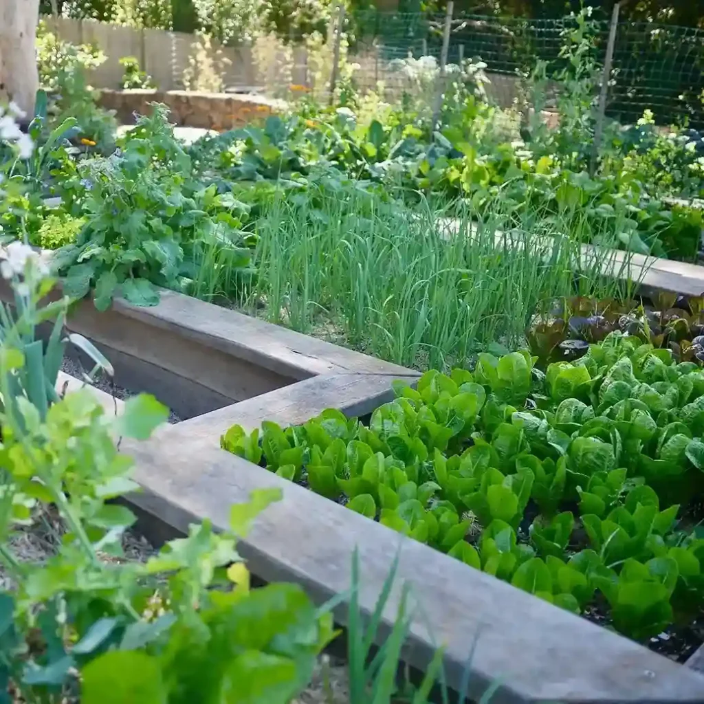 01 Permaculture Design