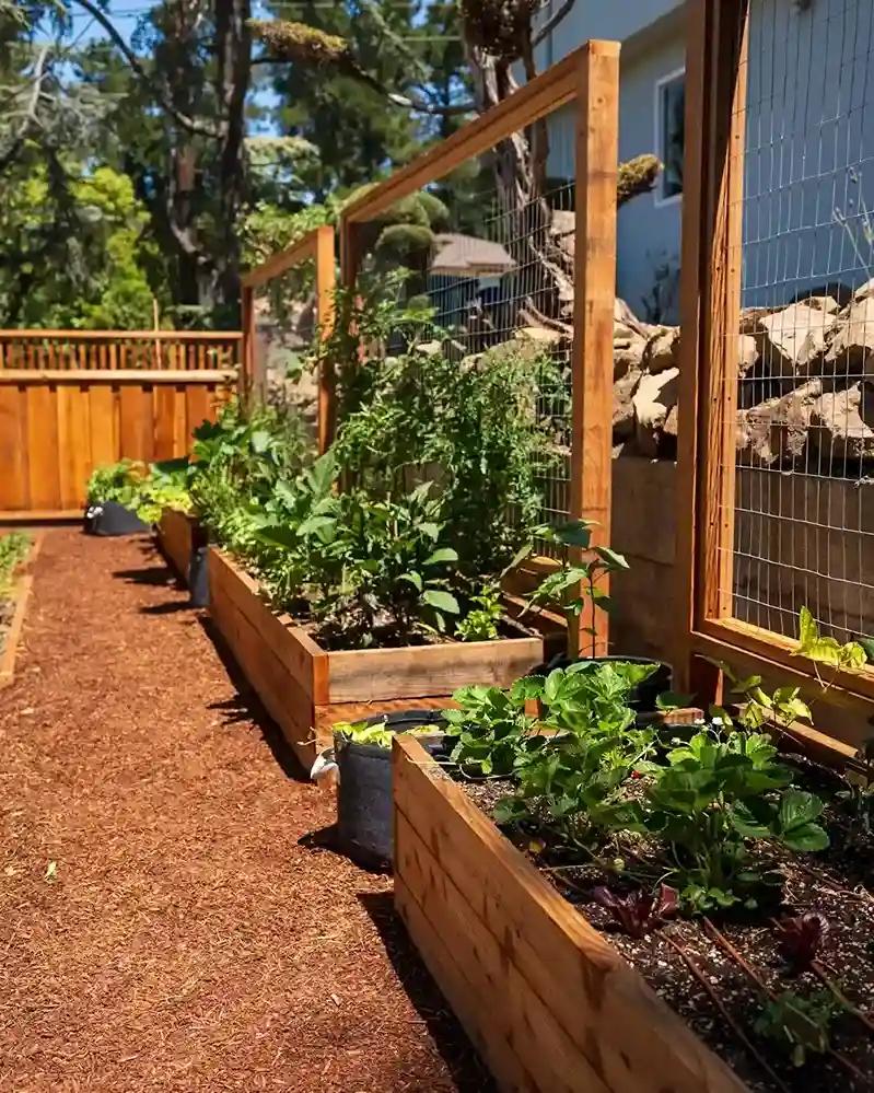 1 Reclaimed Timber Raised Beds