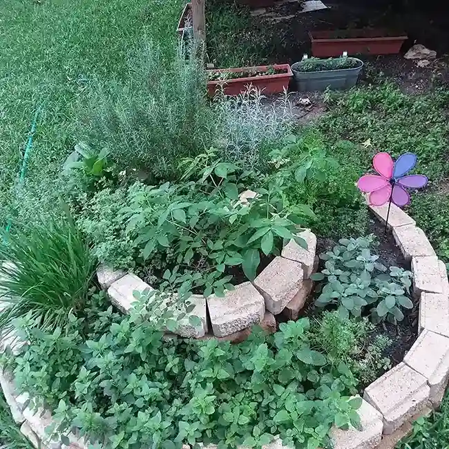 1 Spiral Herb Garden Concept