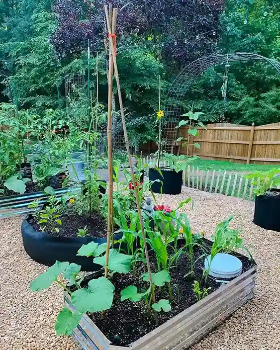 1 Three Sisters Layout