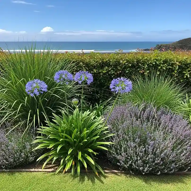 12 Coastal Privacy Planting on a Budget