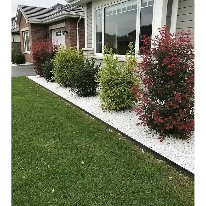 15 White Stone and Shrub Boundary