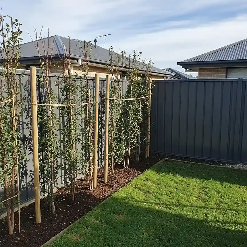 19 Cheap Yard Divider on a Budget