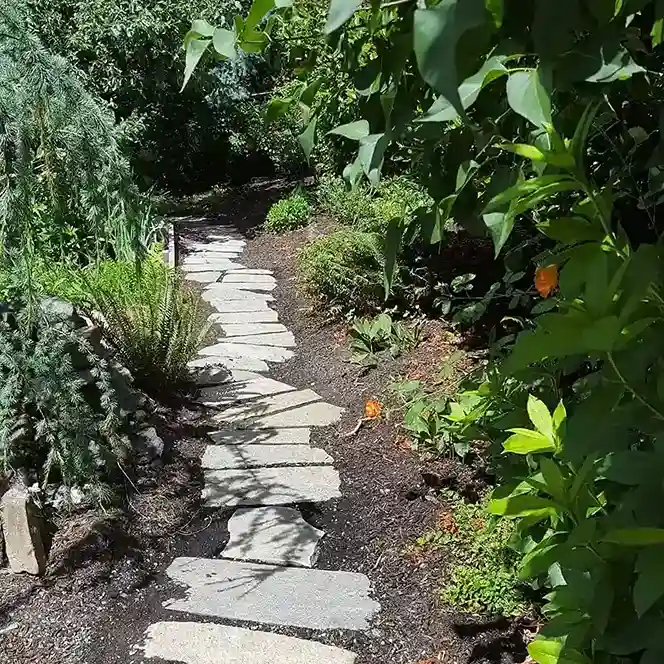 2 Whimsical Garden Path