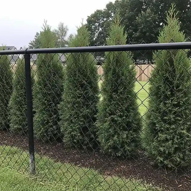 20 Chain Link Fence Alternatives