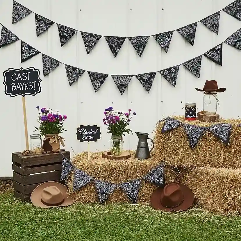 32 Budget Western Party Decorations