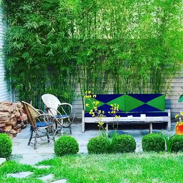 5 Bamboo Privacy Screen