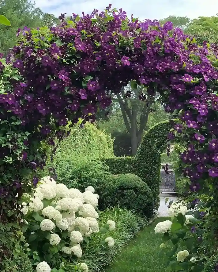 6 Whimsical Garden Archway