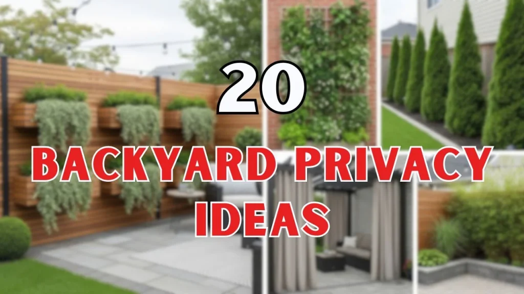 Backyard Privacy Ideas