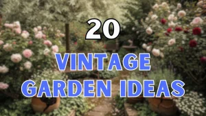 Vintage Garden