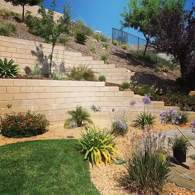 0 Drought Tolerant Plant