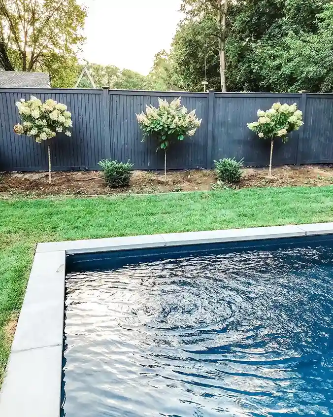 1 Bold Painted Fence