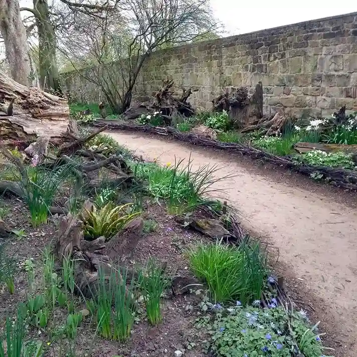 1 Classic Victorian Stumpery