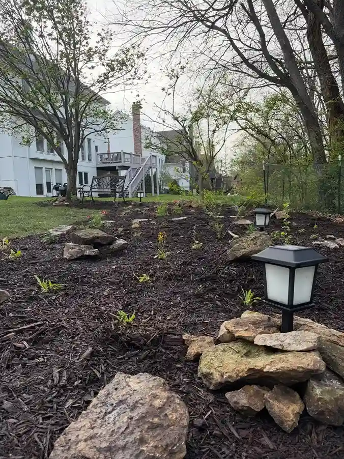 1 Contrasting River Rock and Dark Bark