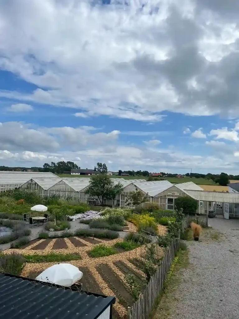 1 What Is a Potager Garden