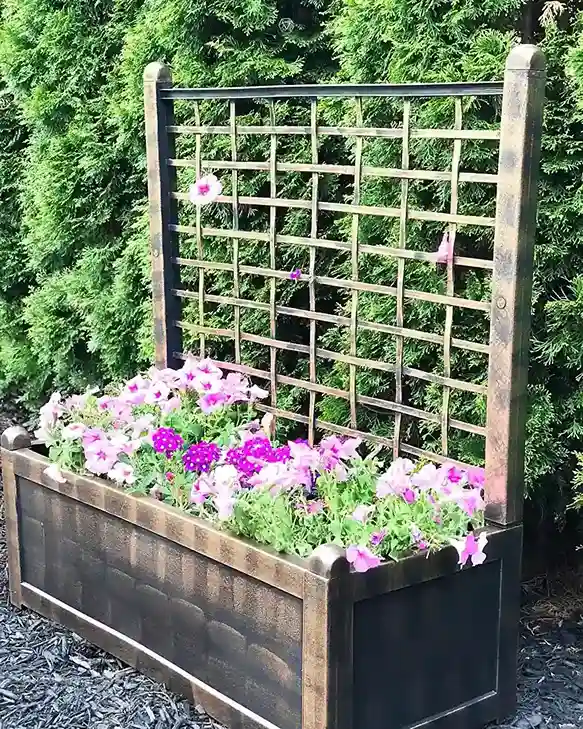 10 Repurposed Window Frame Trellis