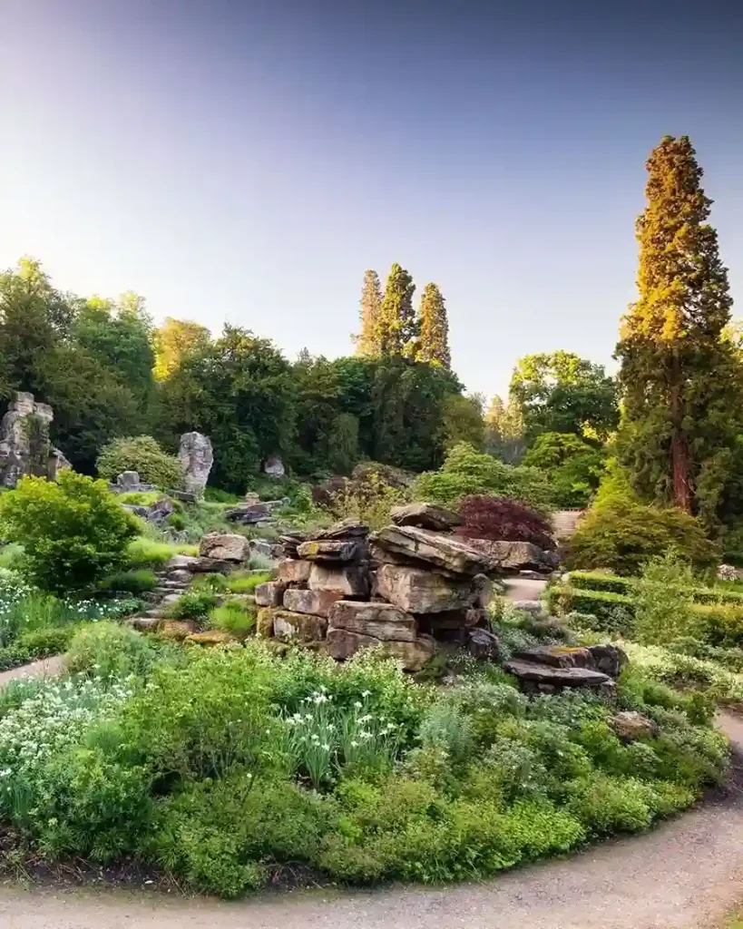 13. Rock Garden with Native Plants