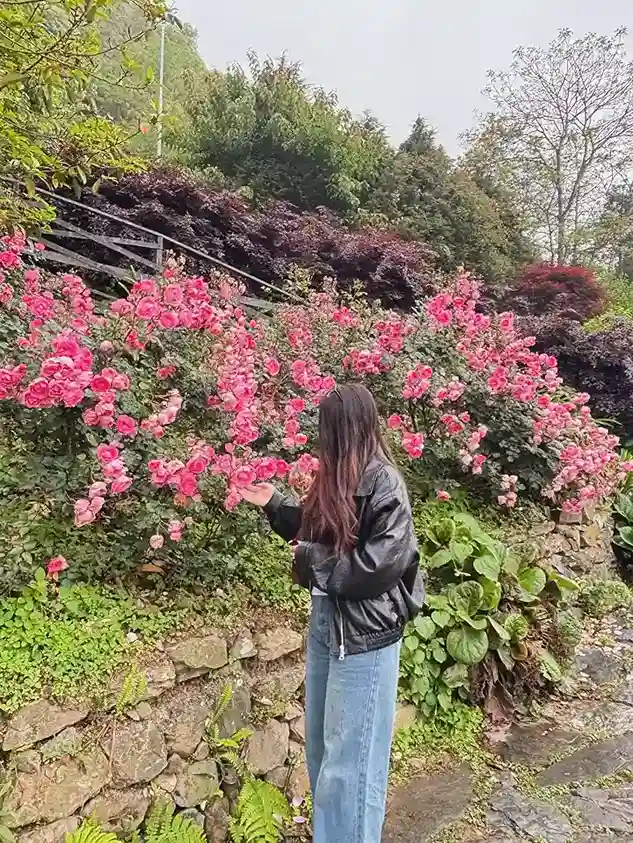 14. Rose Garden on a Slope