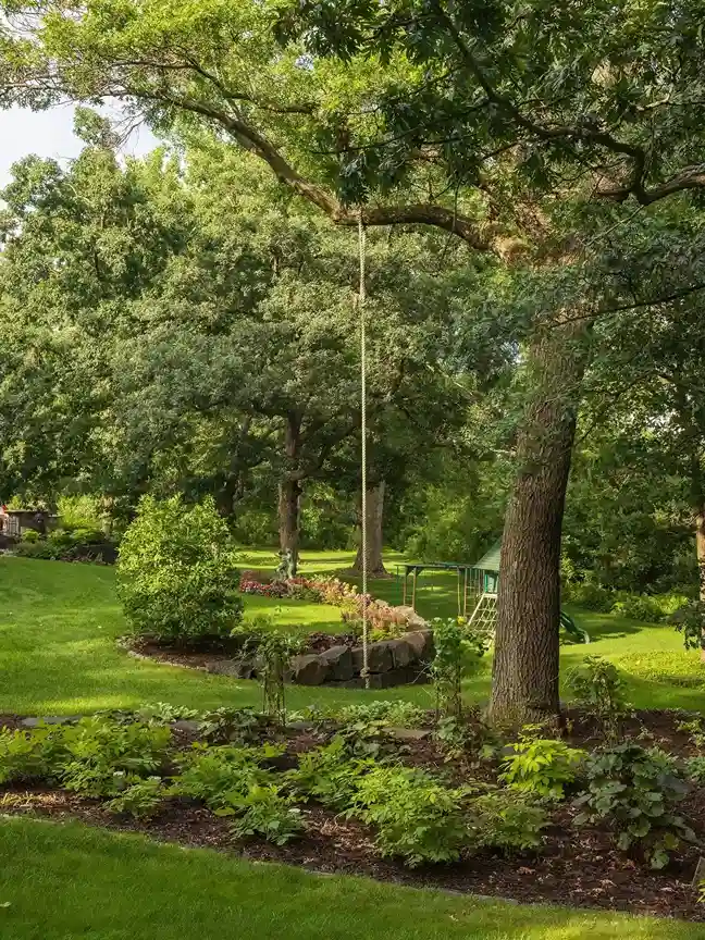 15 Boulders in a Shade Garden