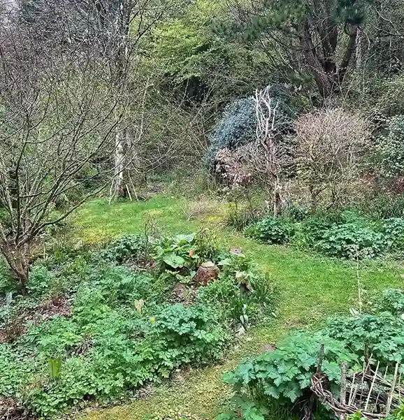 16 Edible Woodland Garden