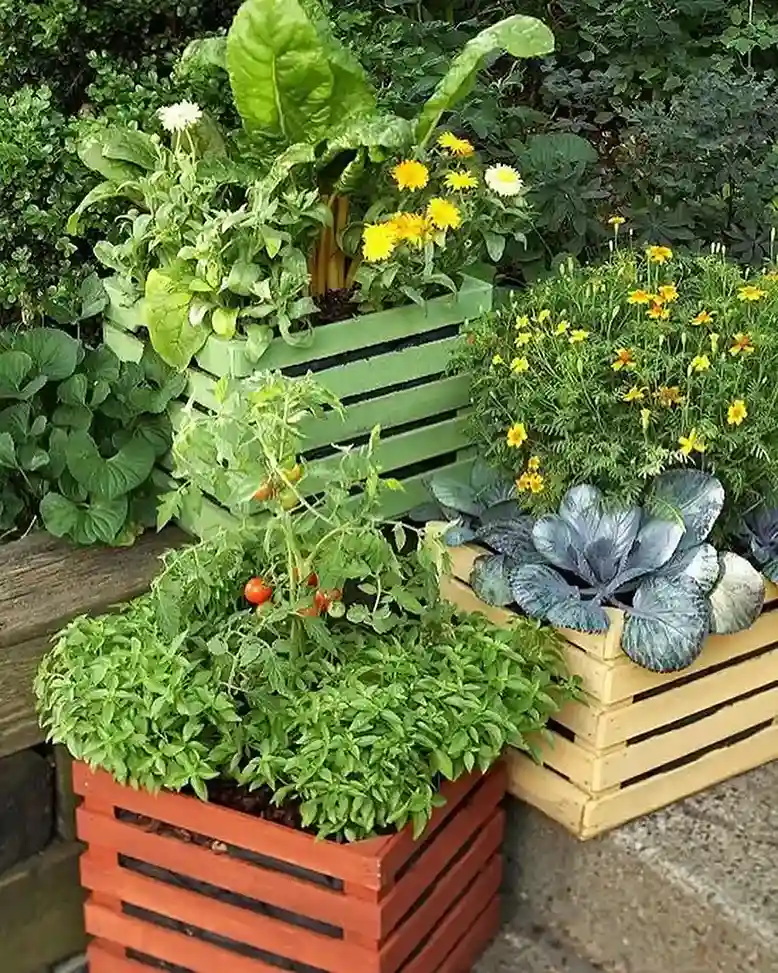 16 Repurposed Wooden Crates as Planters
