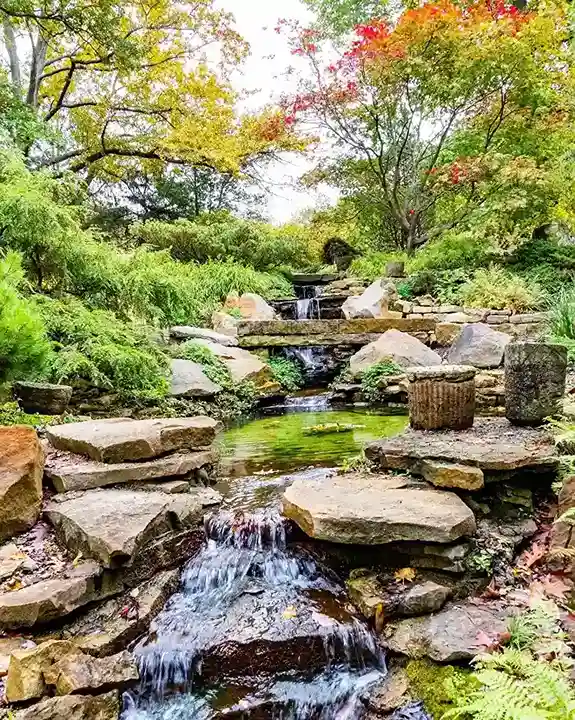 17 Woodland Rock Garden