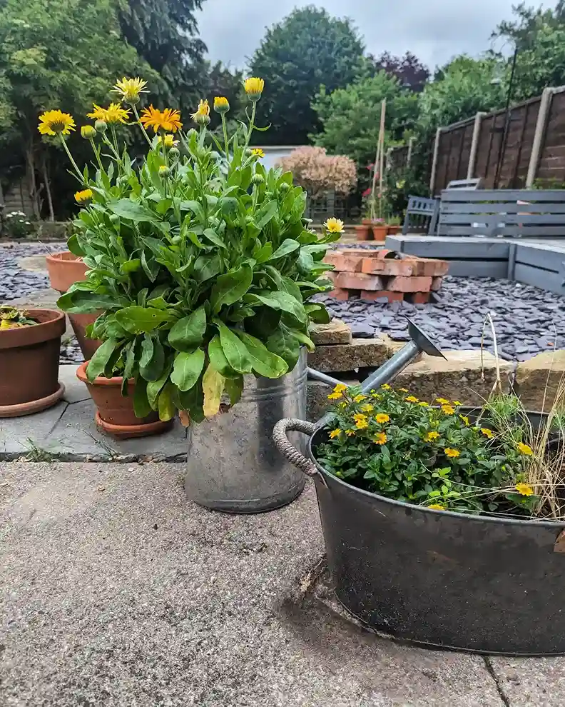 19 Repurposed Watering Can as Art