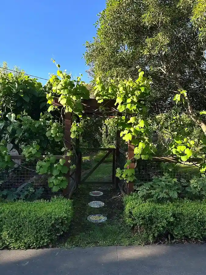 2 Benefits of a Backyard Orchard