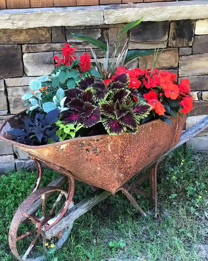2 Rusty Wheelbarrow Planter