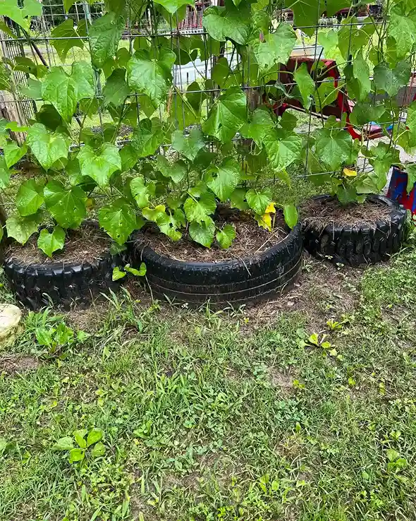 2 Tire Raised Garden Bed