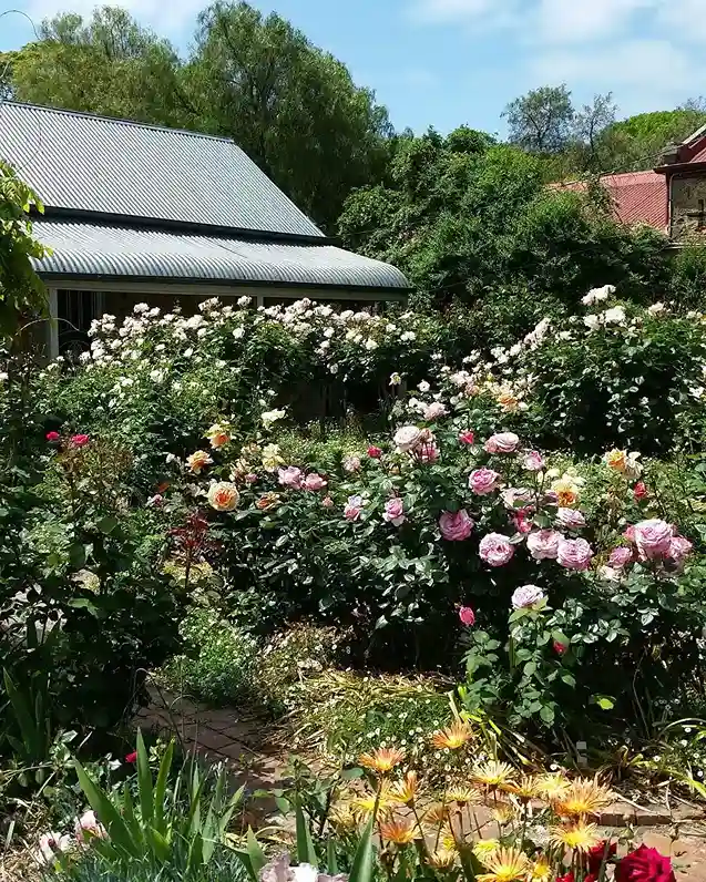 2. Cottage Rose Garden