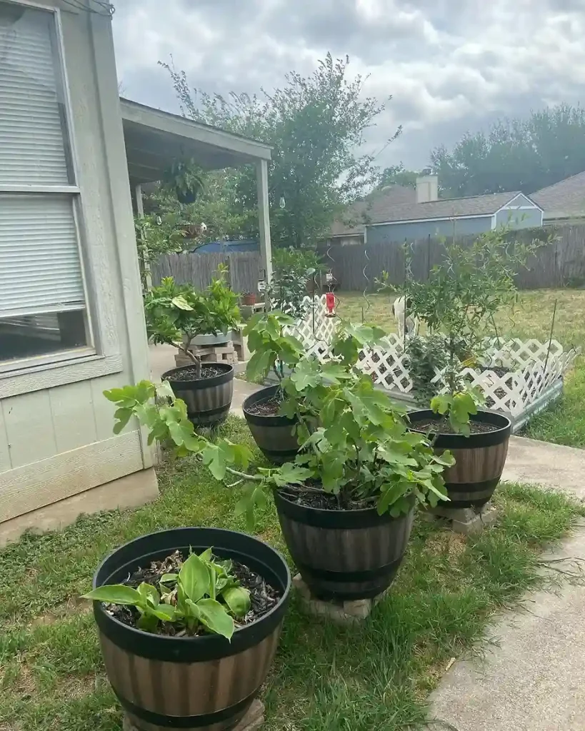 3 Assessing Your Space and Site