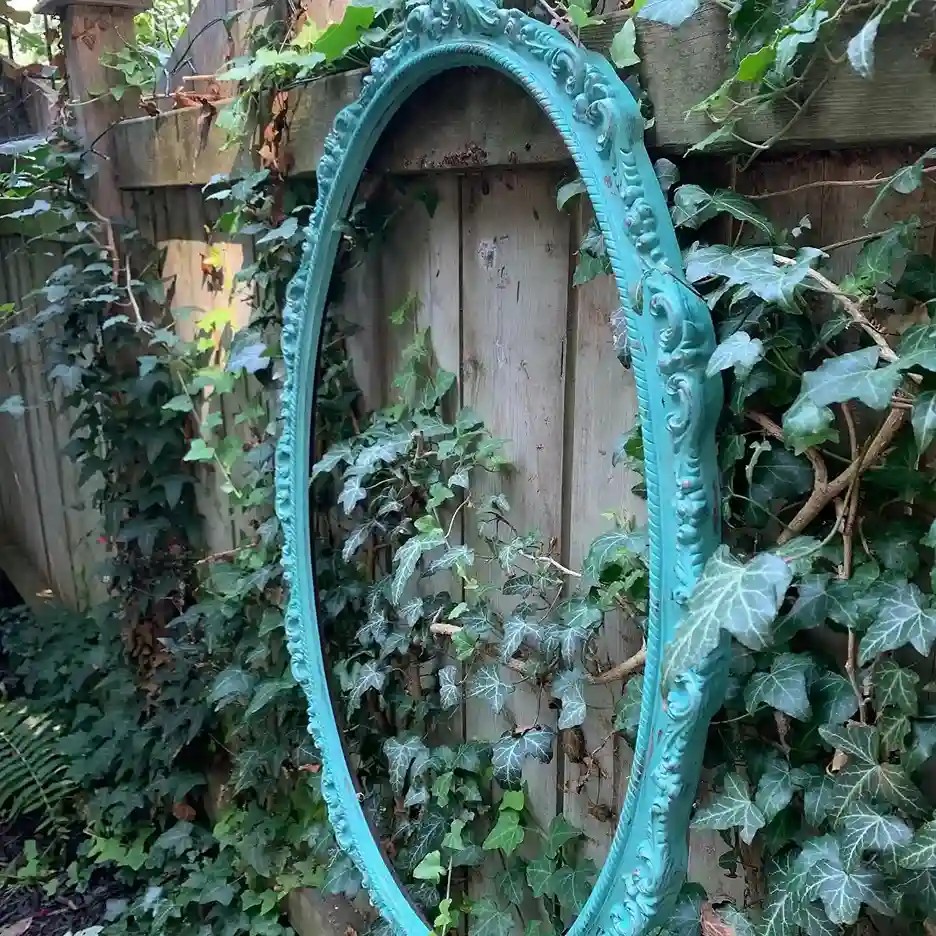 3 Climbing Plants on Fence