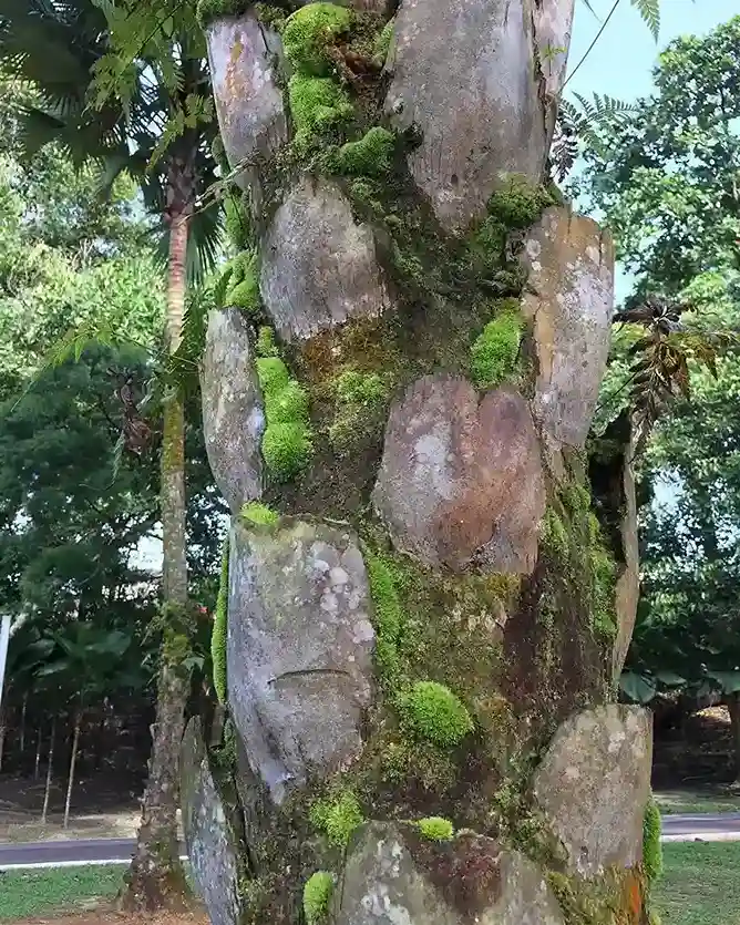 3 Moss and Lichen Stumpery